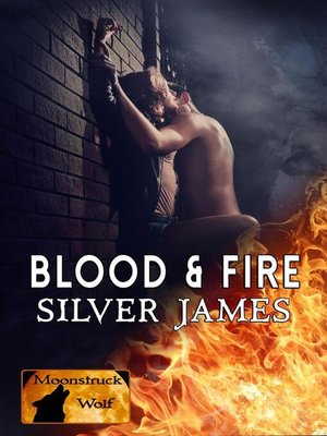 cover image of Blood & Fire